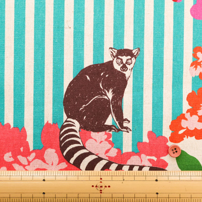 �J���[�o���G�[�V����