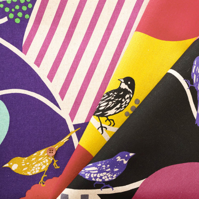 �J���[�o���G�[�V����