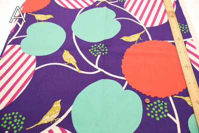 �J���[�o���G�[�V����