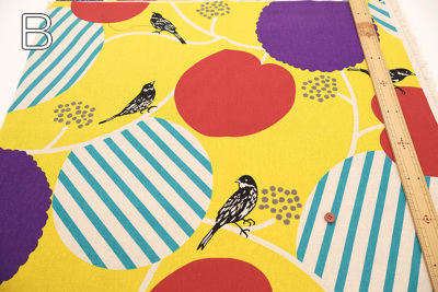 �J���[�o���G�[�V����