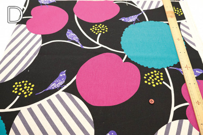 �J���[�o���G�[�V����