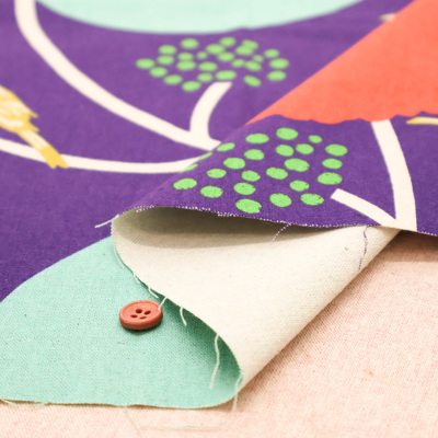 �J���[�o���G�[�V����