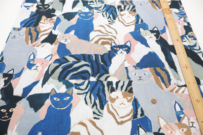 �J���[�o���G�[�V����