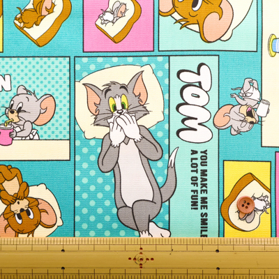 �J���[�o���G�[�V����