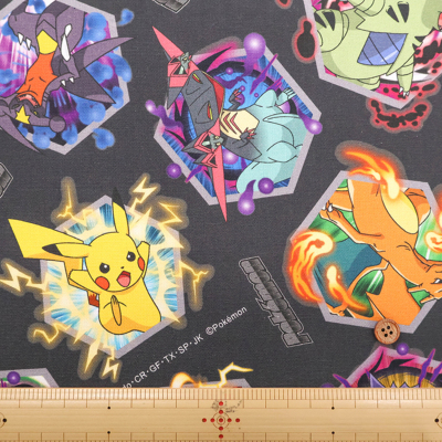 �J���[�o���G�[�V����