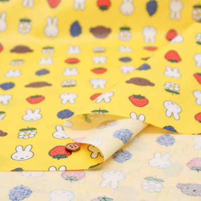 �J���[�o���G�[�V����