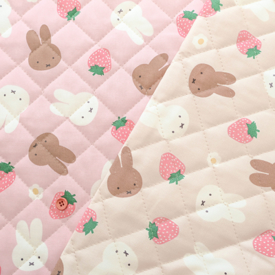 �J���[�o���G�[�V����