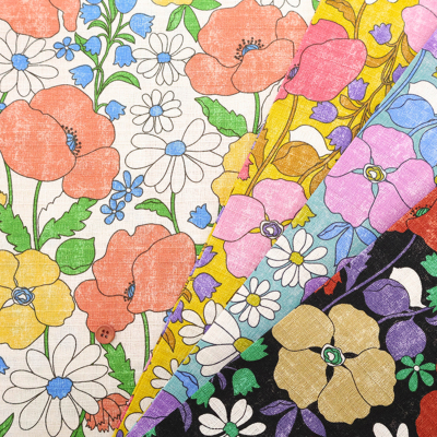 �J���[�o���G�[�V����