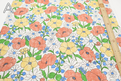 �J���[�o���G�[�V����