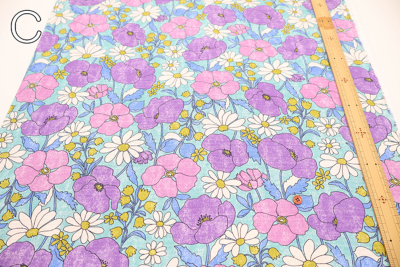 �J���[�o���G�[�V����