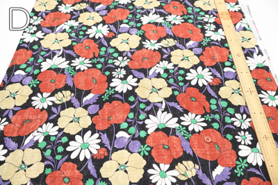 �J���[�o���G�[�V����