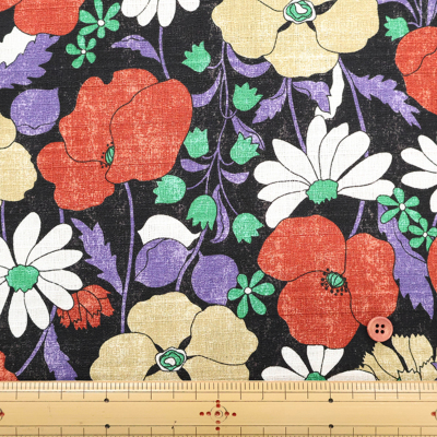 �J���[�o���G�[�V����