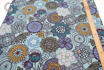 �J���[�o���G�[�V����