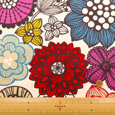 �J���[�o���G�[�V����