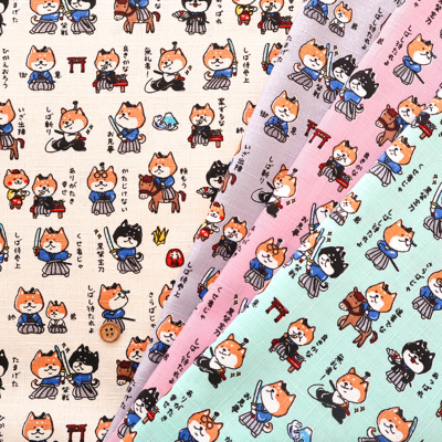 �J���[�o���G�[�V����