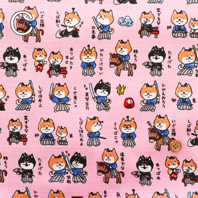 �J���[�o���G�[�V����