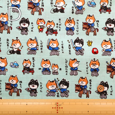 �J���[�o���G�[�V����