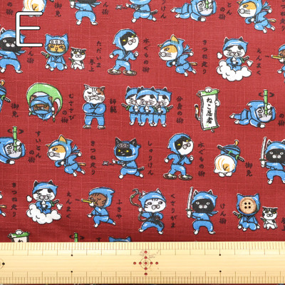 �J���[�o���G�[�V����