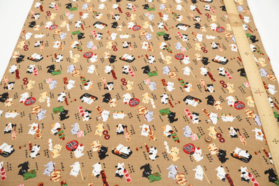 �J���[�o���G�[�V����