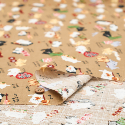 �J���[�o���G�[�V����