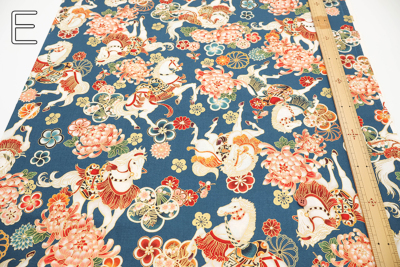 �J���[�o���G�[�V����