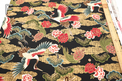 �J���[�o���G�[�V����