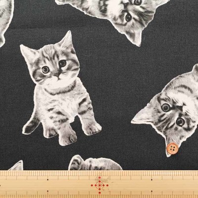 アンティーキング】猫フィギュリン編 - 日々の記憶 にょろきち