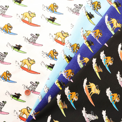 �J���[�o���G�[�V����