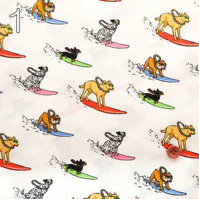 �J���[�o���G�[�V����