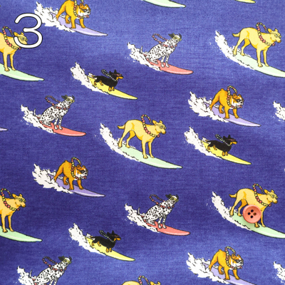 �J���[�o���G�[�V����