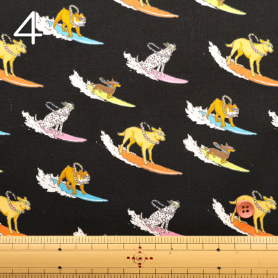 �J���[�o���G�[�V����