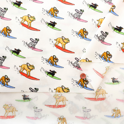 �J���[�o���G�[�V����