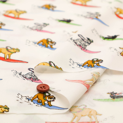 �J���[�o���G�[�V����