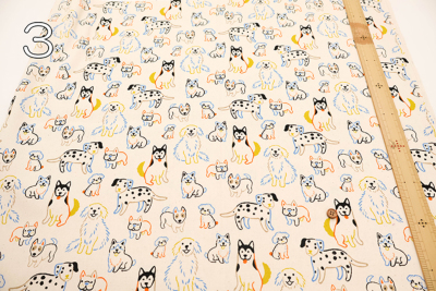 �J���[�o���G�[�V����