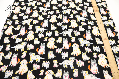 �J���[�o���G�[�V����