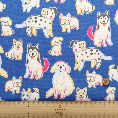 �J���[�o���G�[�V����