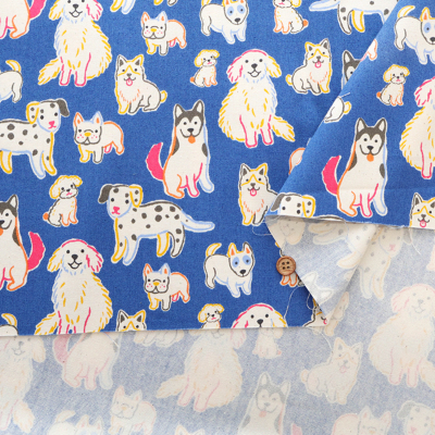 �J���[�o���G�[�V����