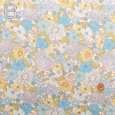 �J���[�o���G�[�V����