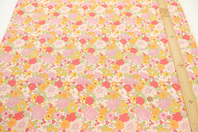 �J���[�o���G�[�V����