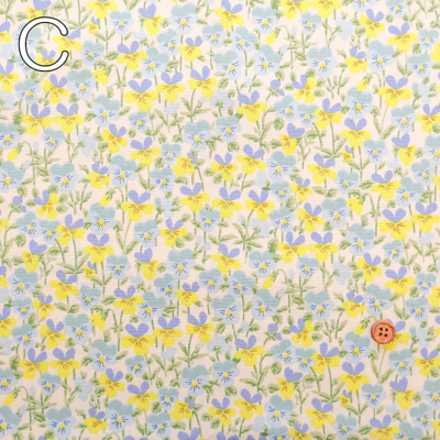 �J���[�o���G�[�V����