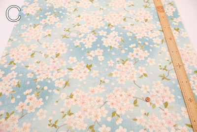 �J���[�o���G�[�V����