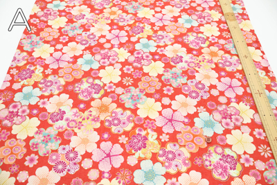 �J���[�o���G�[�V����