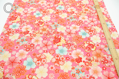 �J���[�o���G�[�V����