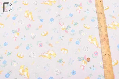 コットンソフト 双子座のパラドクス 色紙 Amazon.co.jp: 双子座のパラドクス 初回版 : PCソフト