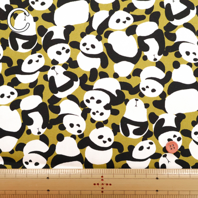 �J���[�o���G�[�V����