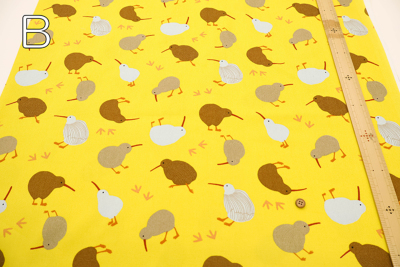 �J���[�o���G�[�V����