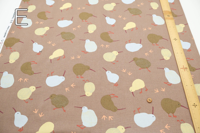 �J���[�o���G�[�V����