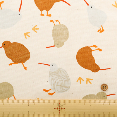 �J���[�o���G�[�V����