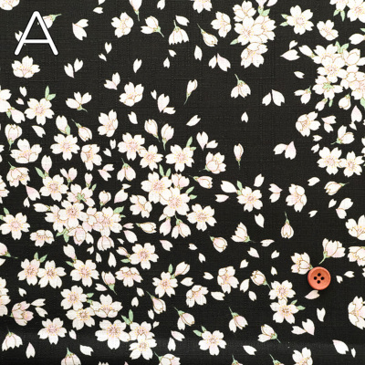 �J���[�o���G�[�V����