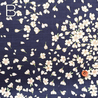 �J���[�o���G�[�V����